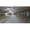 Buy cheap Custom Broiler Poultry Equipment Automatic Broiler Feeding System from wholesalers