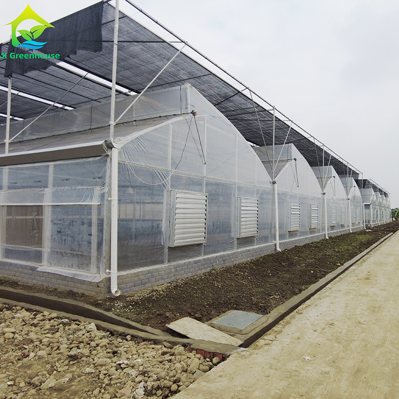 UV Resistant Plastic PE Film Tunnel Fruit Agricultural Greenhouse