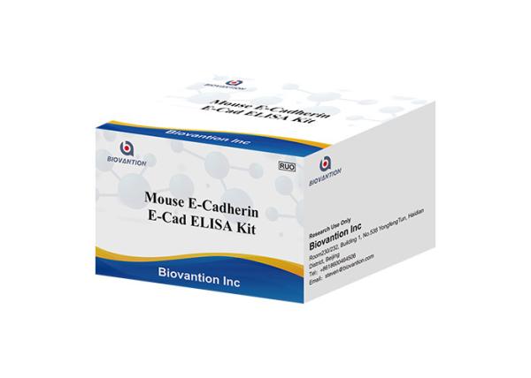 Buy cheap Mouse E Cad E Cadherin Elisa Kit Research Use Only Sandwich Method from wholesalers