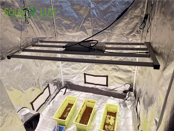Buy cheap Fluence SPYDR HLG 550 Aluminum Horticulture LED Grow Lights from wholesalers