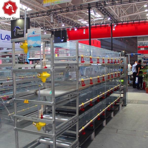Buy cheap Animal Battery Chicken Breeder Cages Automatic Poultry Farming 8 Tiers from wholesalers