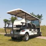 6+2 Seats Electric Golf Cart 60V 100AH ​​Lead Acid Battery Modern Leisure Golf
