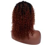 Afro Kinky Curly Brazilian Virgin Human Hair Lace Front Wigs for Women1b/#30 Two