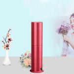 100ml Hvac 200m3 12V1A Waterless Scent Aroma Diffuser