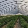Buy cheap JX-A00162 Innovative Agriculture Arches Tunnel Greenhouse Kit Estimated Delivery Time from wholesalers