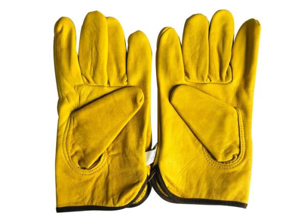 Buy cheap Beekeeping Equipment Hand Protect Sheepskin White or Yellow Beekeeping Gloves Without Cuff from wholesalers