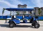 High Quality Off Road Golf Cart Electric Golf Buggy Car 4+2 Seat Perfect