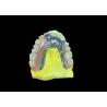 Buy cheap Enhance Your Smile Natural-looking PFM Crown bridge and Removable Dentures Combo from wholesalers