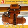 Buy cheap mini electric lifting hoist , electric lift hoist for sale from wholesalers