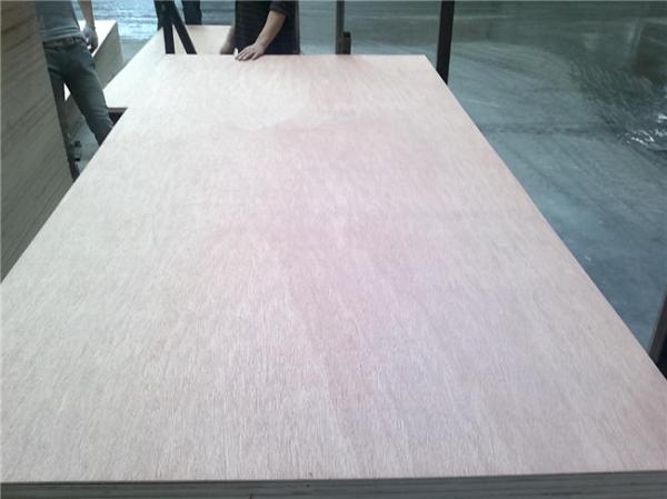 Buy cheap 12mm Bintangor Plywood from wholesalers