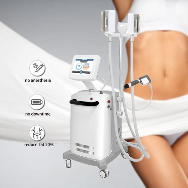 Buy cheap Belly Burning High Efficient Cryolipolysis Slimming Machine from wholesalers