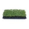Buy cheap New style plastic seedling tray Seedlings plants Plant pots wholesale with low price from wholesalers