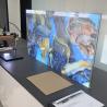Buy cheap 49 Inch OLED Digital Signage 1920x1080 Transparent Video Display Double Side from wholesalers