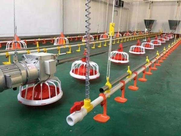 Buy cheap Diameter 60mm Poultry Farm Feeding Machine Galvanized Steel from wholesalers