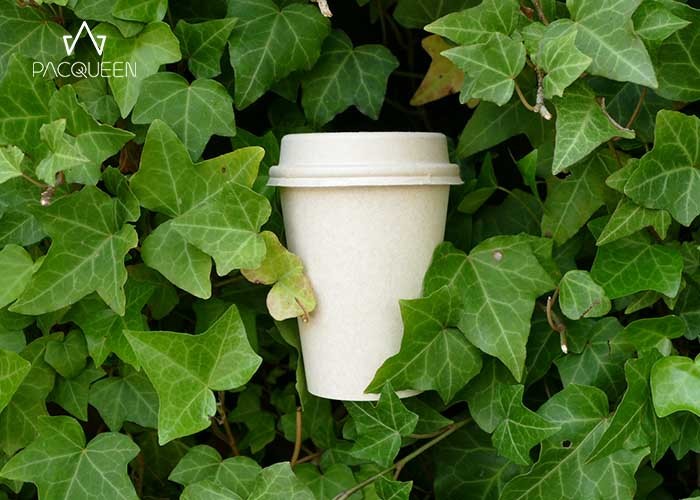 Customized Eco Friendly Disposable Coffee Cups , Tea / Hot Beverage Cups
