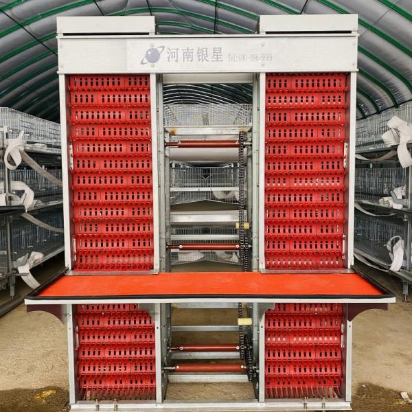 Buy cheap H Type 3 Tiers 4 Tiers Battery Cage For Layer Chicken 45 * 60 * 41cm from wholesalers