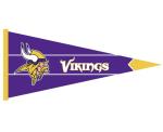 Fade Resistant Felt Pennant Banner , 15x20cm NBA Sport Flags Banners