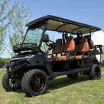 Brand New Golf Cart 4 Wheel Electric Lithium Battery Scooter Fashion Popular