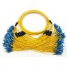 Buy cheap SC UPC G652D 12 Branches 144 Core Fiber Optic Patch Cords from wholesalers
