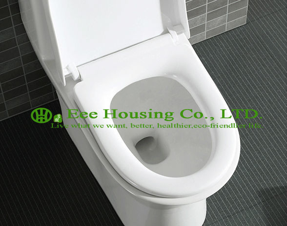 Wc Toilet S-trap 300mm siphonic one piece toilet with built-in bidet