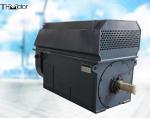 Flame Proof Permanent Magnet Synchronous Motor PMSM IC01 IC37