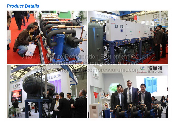 Air Cooled Piston Condensing Commercial Refrigeration Units For Carrot Freeze Room