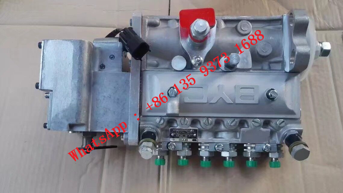 Dongfeng Cummins 6BT5.9-G2 Diesel Generator Fuel Pump 4988395