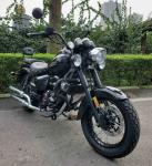 250cc Cruiser Chopper Motorcycle Two Pipe Muffler Oil Cooled Sport