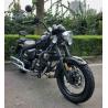 Buy cheap 250cc Cruiser Chopper Motorcycle Two Pipe Muffler Oil Cooled Sport from wholesalers