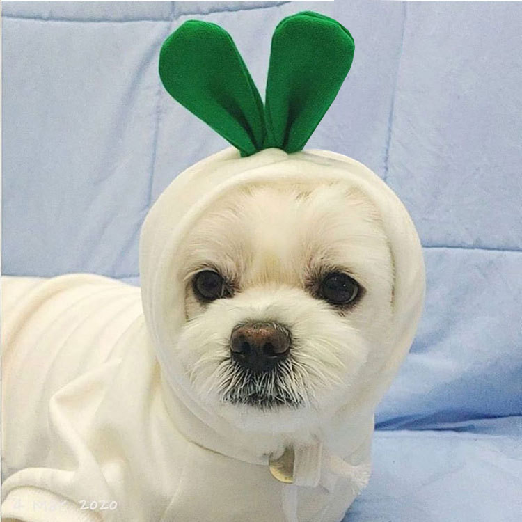Autumn And Winter Cotton Plush Hooded Sweater For Pet