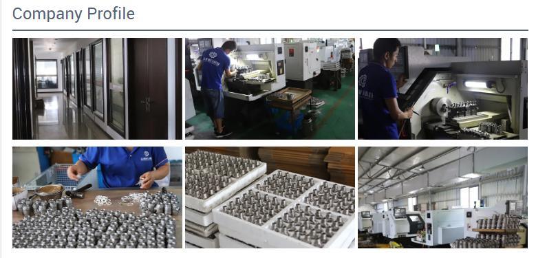 Threaded Stainless Steel Swing Check Valve 200psi Non Return Valve
