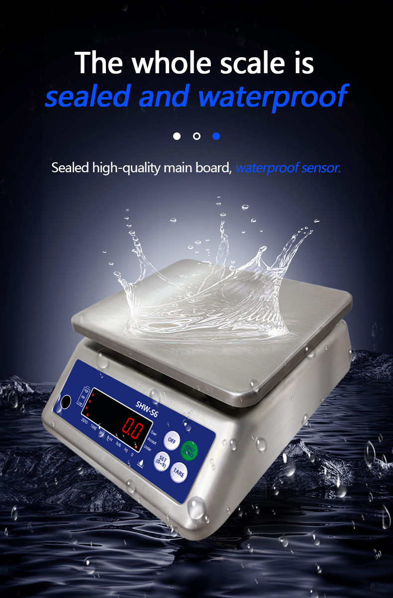SOHE S6 Stainless Steel Waterproof Scale with 6KG Capacity and IP68 Protection Rating