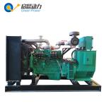 50kw Natural Gas Generator LPG Generator Biogas Generator