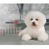 Buy cheap Animal Calendar Printing, Kraft paper calendar, pop up calendar supplier, Beijing Printing company from wholesalers