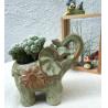 Buy cheap Succulent Creative Elephant Animals Plant Flowerpots from wholesalers