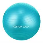 Availalbe OEM 55cm PVC Anti-Burst Gym Exercise Yoga Ball with Air Pump and