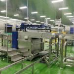 Automatic Canned Meat Production Line 220V / 380V Canned Corned Beef Production
