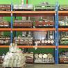 Buy cheap industrial heavy duty storage shelves with wood board / cargo cage / pallet from wholesalers