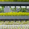 Buy cheap Commercial Greenhouse Hydroponic Vertical Farming Container from wholesalers