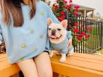 Cat Dog Embroidery Matching Pet Owner Set 2XL - 4XL Happy Smiley Face