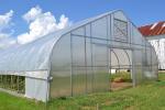 Galvanized Steel Frame PE Film Greenhouse 3.2m High Tunnel Greenhouse