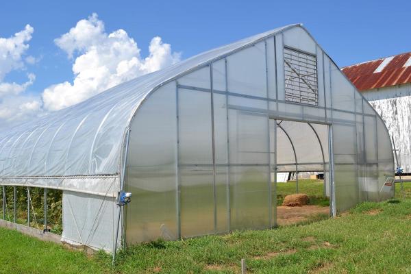 Buy cheap Agriculture Mushroom Management Greenhouse Planting Vegetables Fruits Single-Span Greenhouses from wholesalers