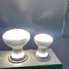 Buy cheap 75W 100W Basking Bulb Sunspot Infrared Frosted Reptile Heat Lamp from wholesalers