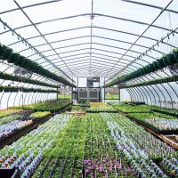 Buy cheap Plastic Film Steel Frame Tunnel Greenhouse for Farm product