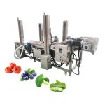 Water Saving Vegetable Seed Cleaning Peeling Machine 2500*1200*1300mm for Fruit