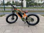 Full Suspension Fat Tire E Bike Electric Bicycle For Seniors 1000w 48v 17Ah