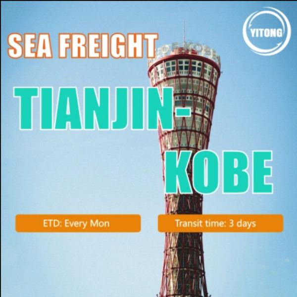 Buy cheap Sea Freight From Tianjin China To KoBe Japan from wholesalers
