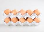 Eco Friendly Paper Egg Tray Machine / Egg Carton Making Machine 350 -1000pcs/H