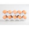 Buy cheap paper pulp egg fruit tray face mask molding machine/egg tray making machine from wholesalers