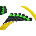 Optic fiber Trunk Cable SM 72core female MTP/MPO Patch Cord